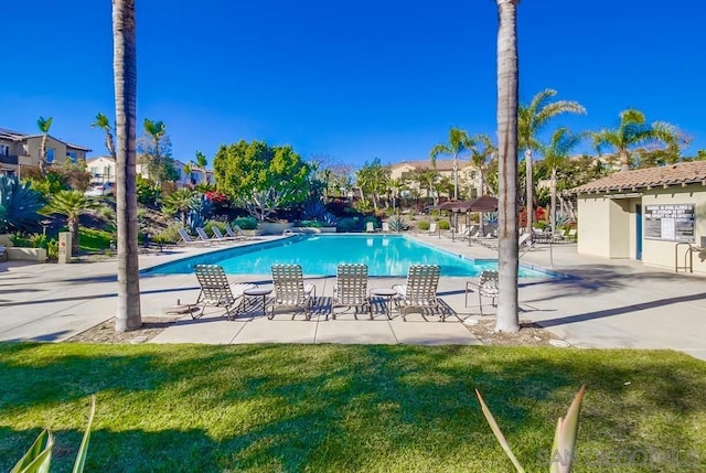 view of pool featuring a lawn and a patio