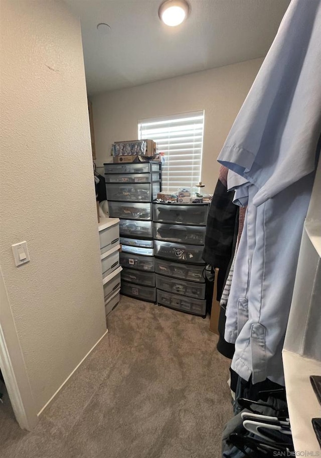 spacious closet featuring dark colored carpet