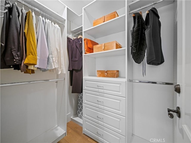 spacious closet featuring light wood-type flooring