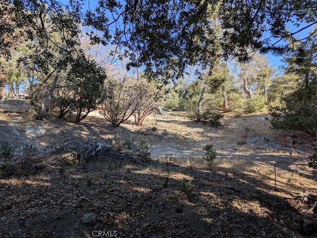 0 Schaffer, Idyllwild, CA 92549