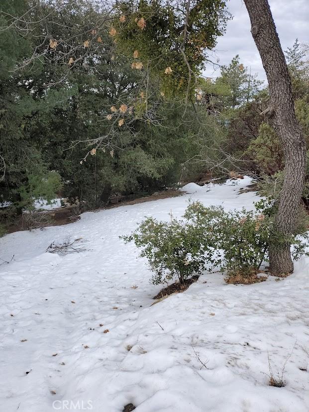 0 Schaffer, Idyllwild, CA 92549