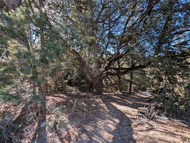 0 Schaffer, Idyllwild, CA 92549