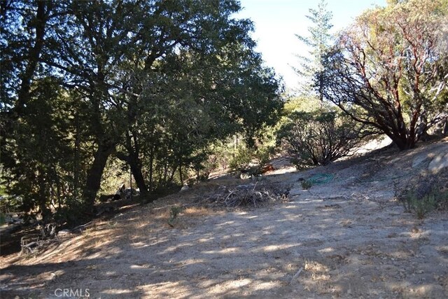 0 Schaffer, Idyllwild, CA 92549
