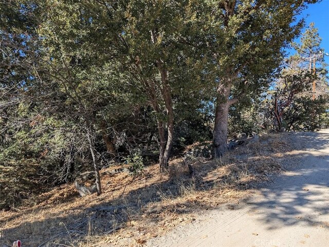 0 Schaffer, Idyllwild, CA 92549