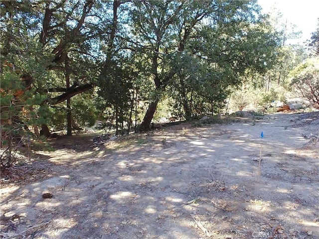 0 Schaffer, Idyllwild CA, 92549 land for sale