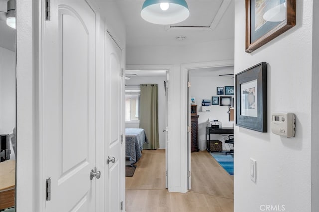 hallway featuring light hardwood / wood-style floors