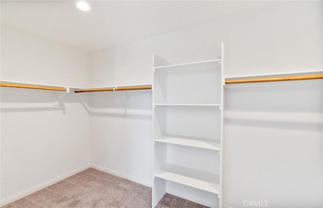 spacious closet with light carpet