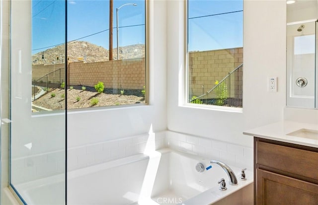 bathroom with a healthy amount of sunlight and a bathtub