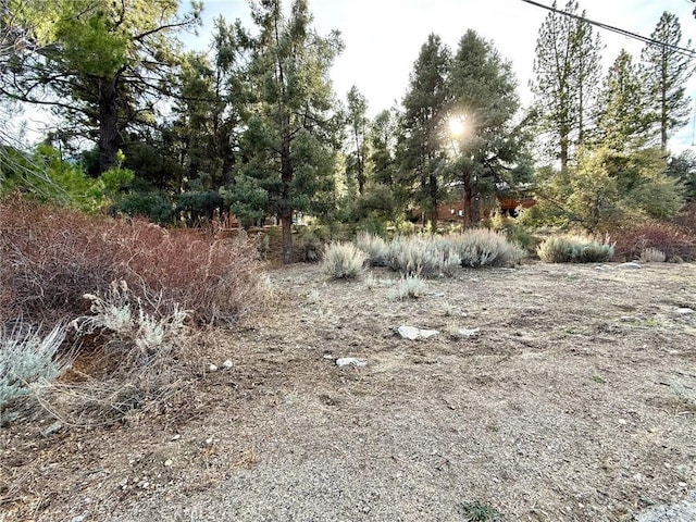 Listing photo 2 for 15500 Mil Potrero Hwy, Pine Mountain Club CA 93222