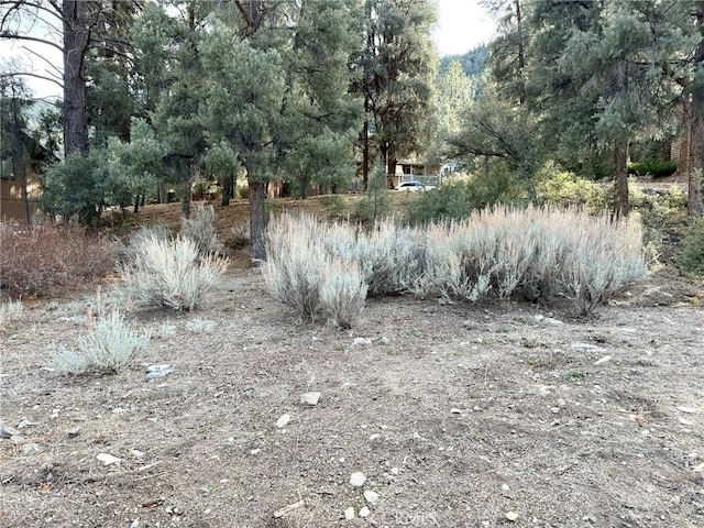 Listing photo 3 for 15500 Mil Potrero Hwy, Pine Mountain Club CA 93222