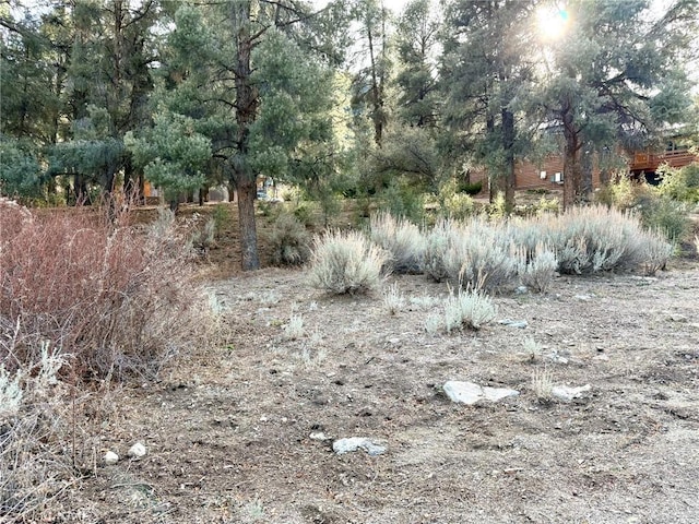 15500 Mil Potrero Hwy, Pine Mountain Club CA, 93222 land for sale