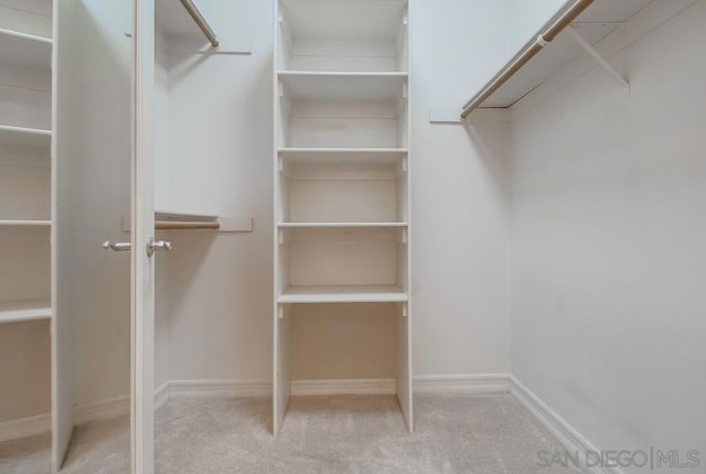 spacious closet with light carpet