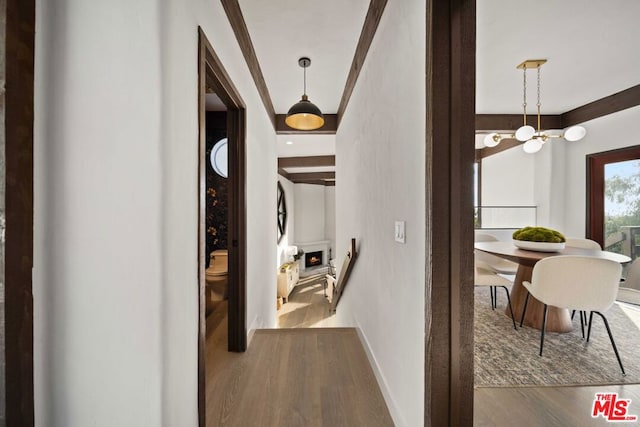 hallway with hardwood / wood-style floors