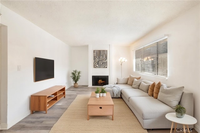 living room with hardwood / wood-style flooring, a textured ceiling, and a fireplace