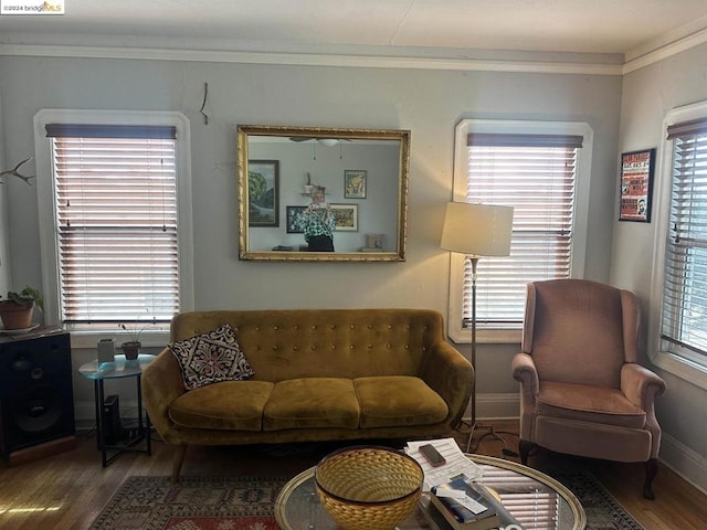 sitting room featuring plenty of natural light, hardwood / wood-style floors, and ornamental molding