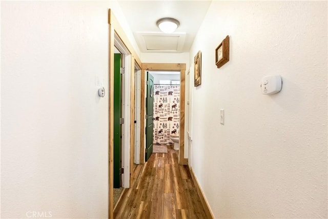 hallway with dark hardwood / wood-style flooring