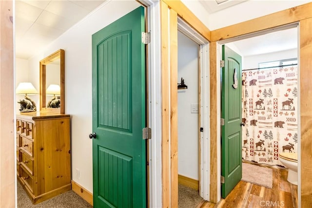 hallway featuring wood-type flooring