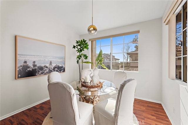 dining space featuring wood-type flooring