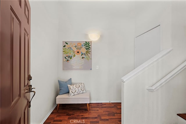 foyer entrance featuring dark wood-type flooring