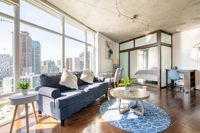 living room with dark wood-type flooring, a wall of windows, and a healthy amount of sunlight