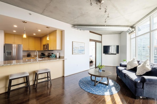 living room with dark wood-type flooring, sink, and a wall of windows