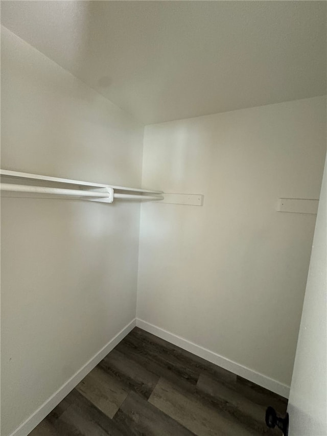 walk in closet with dark hardwood / wood-style flooring