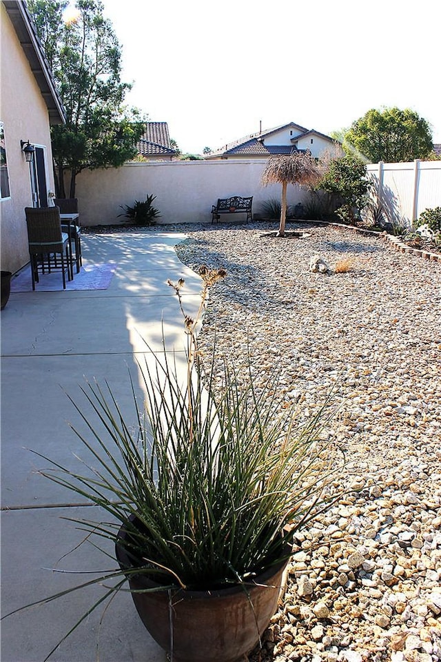 view of yard featuring a patio area