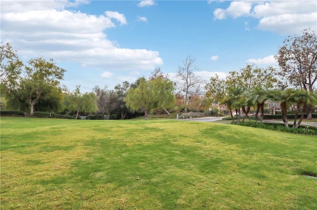 view of community featuring a lawn