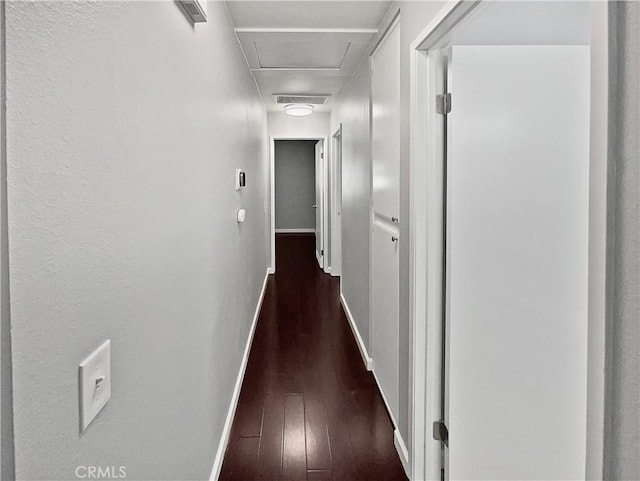 corridor featuring dark hardwood / wood-style flooring