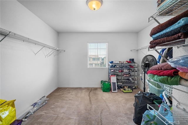 walk in closet featuring carpet