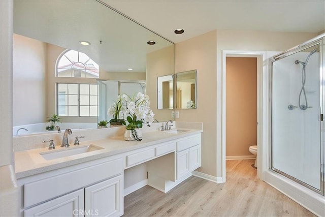 bathroom with toilet, vanity, wood-type flooring, and a shower with door