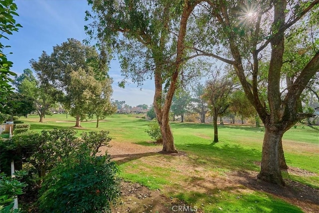 view of home's community with a lawn