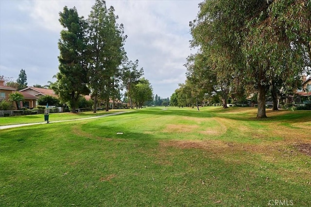 view of home's community with a yard