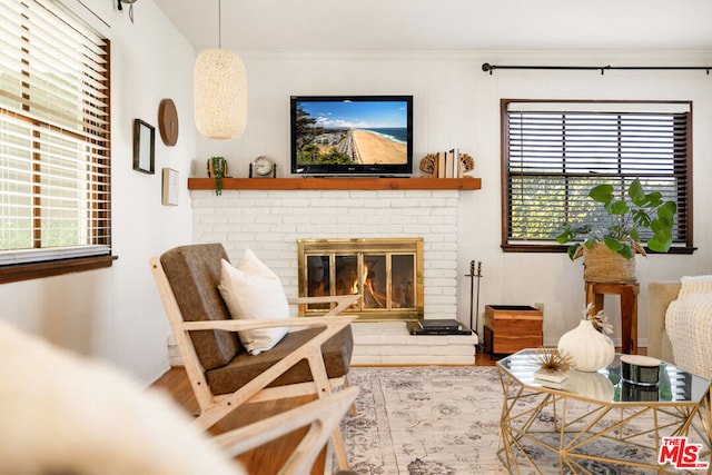 living area featuring wood-type flooring, ornamental molding, and a fireplace