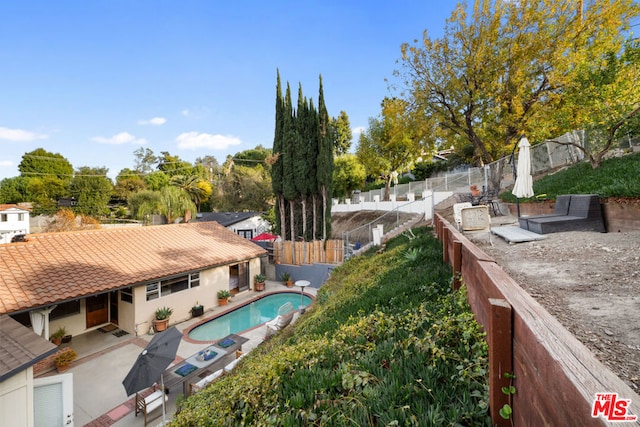 view of pool with a patio area