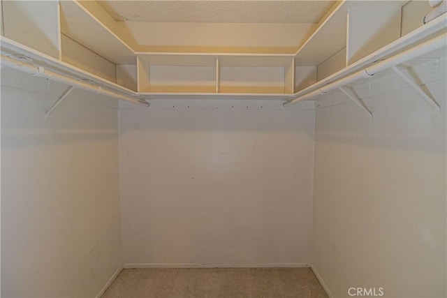 walk in closet featuring light colored carpet