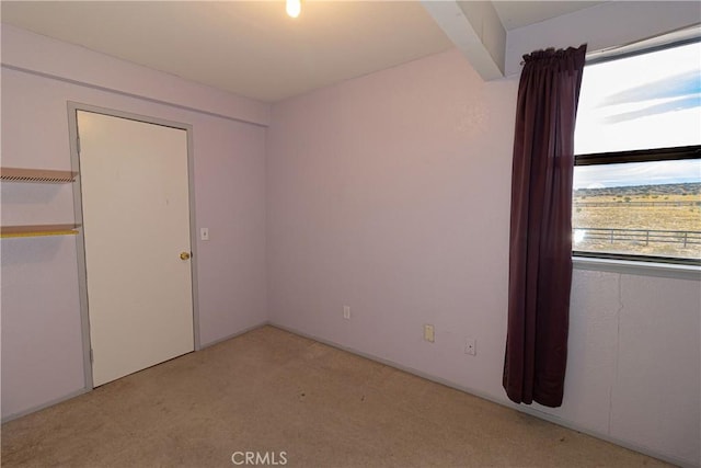 unfurnished bedroom with light colored carpet