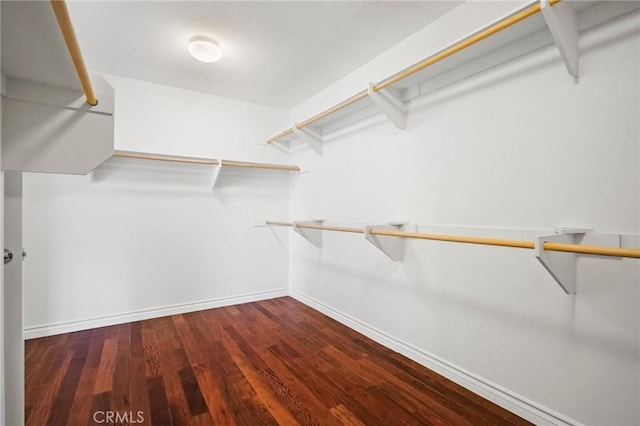 walk in closet with hardwood / wood-style flooring