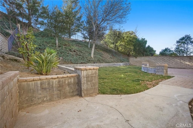 view of yard featuring a patio