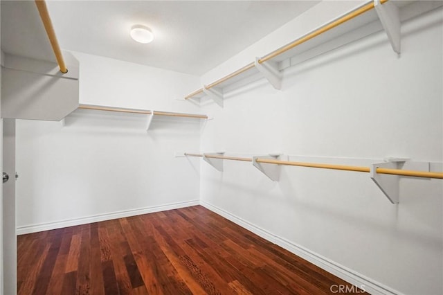 walk in closet with wood-type flooring