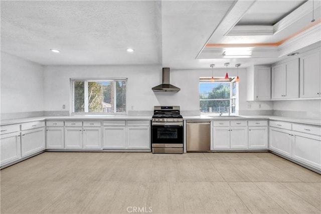 kitchen with sink, wall chimney range hood, a tray ceiling, white cabinets, and appliances with stainless steel finishes