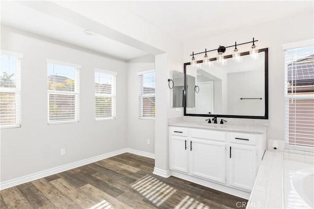 bathroom with plenty of natural light, wood-type flooring, and vanity