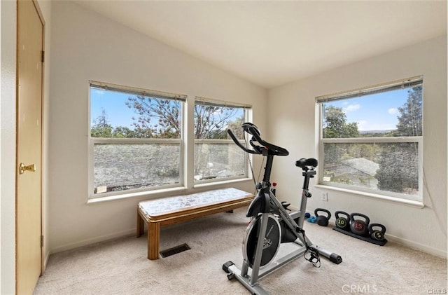 146 N Polk St, Lakeport, CA 95453 - exercise room featuring vaulted ceiling, light carpet, and plenty of natural light