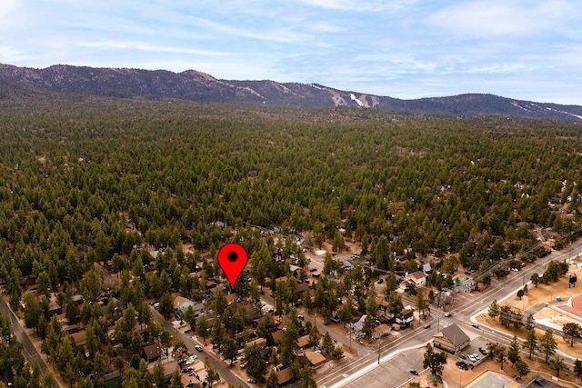 bird's eye view with a mountain view