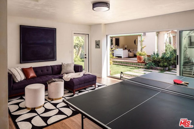 playroom with light hardwood / wood-style floors