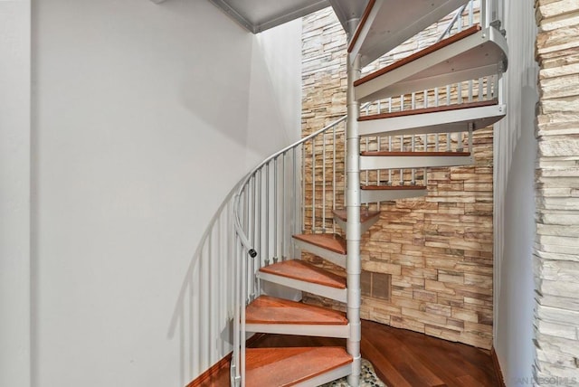 stairs with hardwood / wood-style flooring