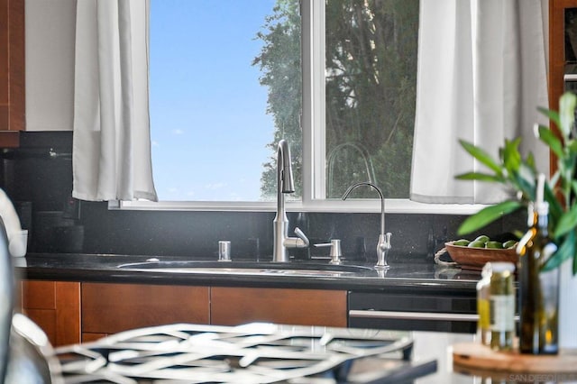 interior details featuring sink and dishwasher