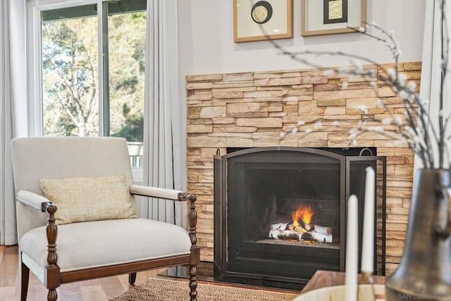 living area featuring a stone fireplace