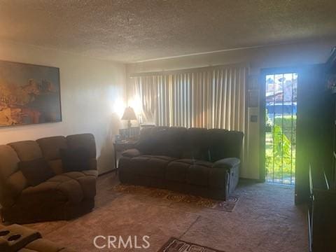 living room with a textured ceiling and carpet flooring