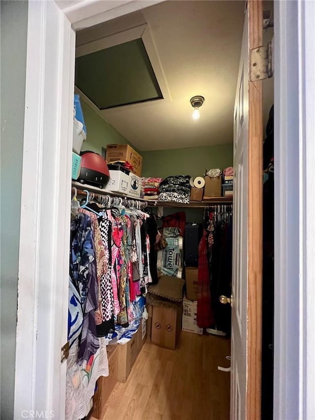 spacious closet featuring hardwood / wood-style floors